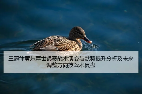 王懿律黄东萍世锦赛战术演变与默契提升分析及未来调整方向技战术复盘